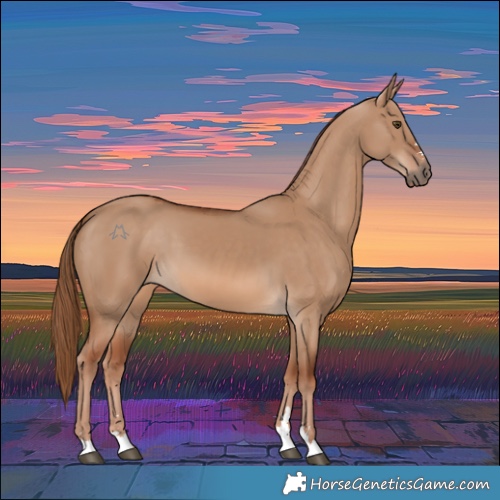 Horse Color:Red Dun 