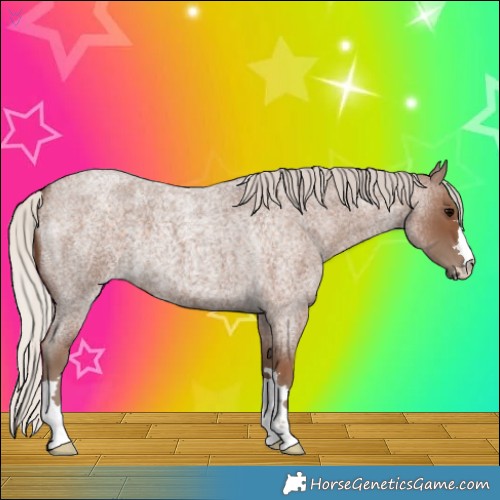 Horse Color:Silver Blue Roan
