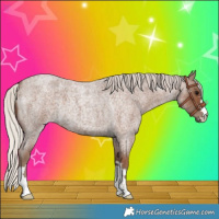 Horse Color:Silver Blue Roan 