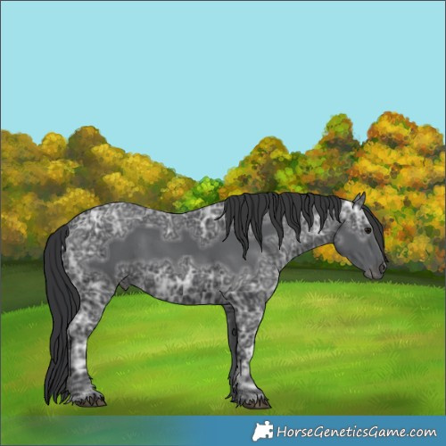 Horse Color:Black Ice 