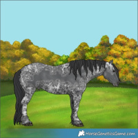 Horse Color:Black Ice 