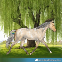 Horse Color:White Spotted Silver Buckskin Roan Dun 