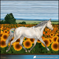 Horse Color:White Spotted Silver Buckskin Roan Dun 