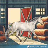 Horse Color:White Spotted Silver Buckskin Roan Dun 