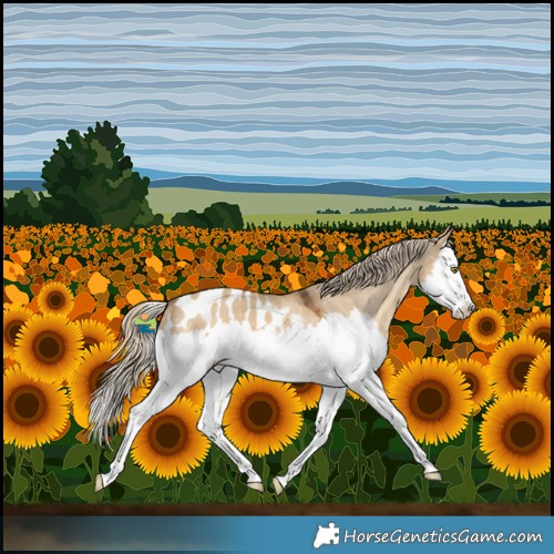 Horse Color:Chocolate Palomino Dun Splash Blanket 