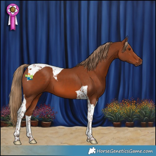 Horse Color:Chestnut Tobiano