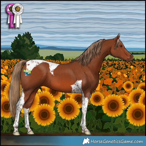 Horse Color:Chestnut Tobiano 