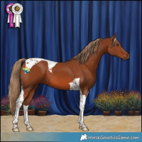 Horse Color:Chestnut Tobiano 