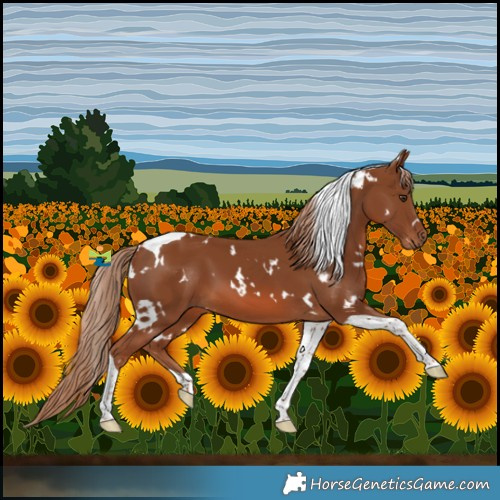 Horse Color:White Spotted Chestnut Tobiano 