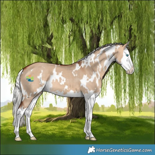 Horse Color:White Spotted Silver Bay Dun Splash 