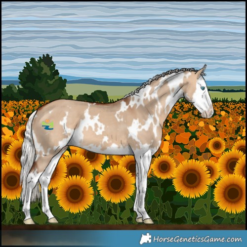 Horse Color:White Spotted Silver Bay Dun Splash 