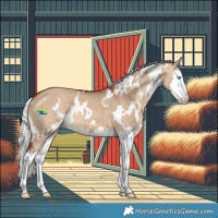 Horse Color:White Spotted Silver Bay Dun Splash 