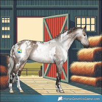 Horse Color:Gray White Spotted Silver Brown Dun
