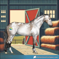 Horse Color:Gray White Spotted Brown Dun 