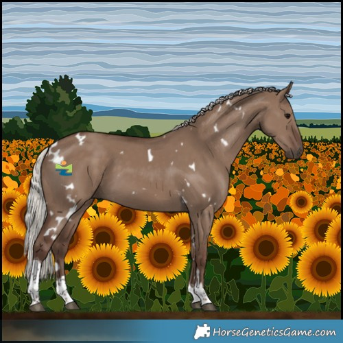 Horse Color:White Spotted Silver Grullo Tobiano 