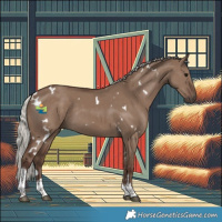 Horse Color:White Spotted Silver Grullo Tobiano 