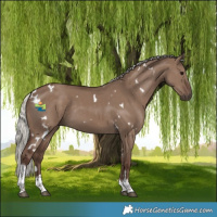 Horse Color:White Spotted Silver Grullo Tobiano 