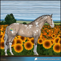 Horse Color:White Spotted Silver Brown Dun Splash 