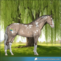 Horse Color:White Spotted Silver Brown Dun Splash 