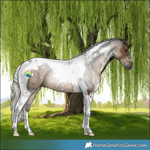 Horse Color:Gray White Spotted Silver Brown Dun Tobiano 