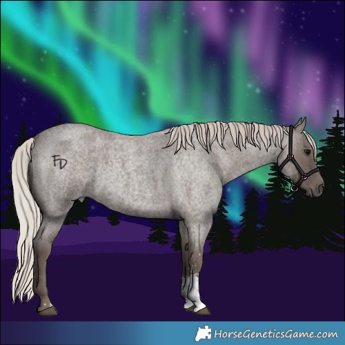 Horse Color:Silver Blue Roan Sabino