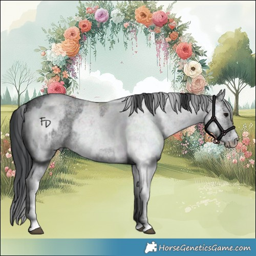 Horse Color:White Spotted Blue Roan Rabicano  and White Spotted Blue Roan Rabicano 