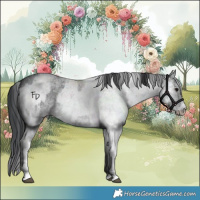 Horse Color:White Spotted Blue Roan Rabicano  and White Spotted Blue Roan Rabicano 