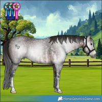 Horse Color:Gray Bay Sabino 