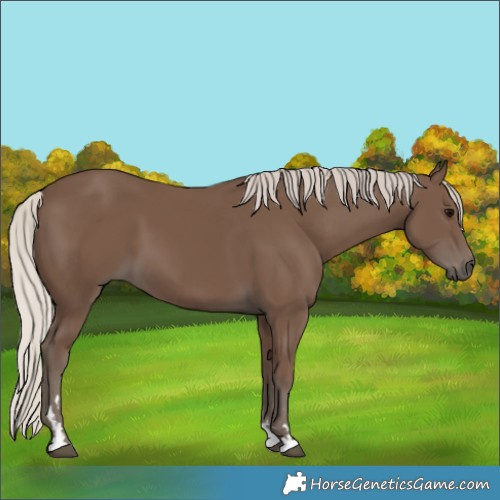 Horse Color:Silver Black 