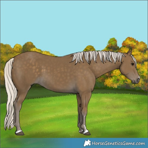 Horse Color:Silver Smoky Black 