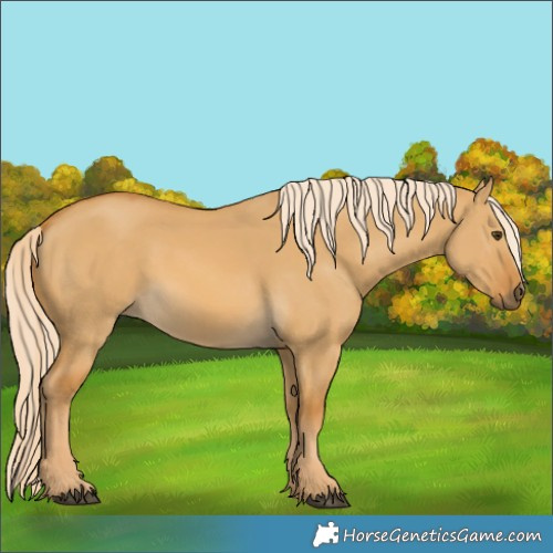 Horse Color:Palomino Dun