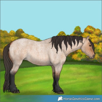 Horse Color:Bay Roan Dun 