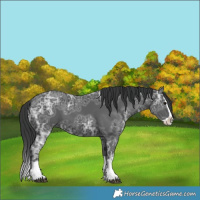 Horse Color:Black Ice Splash 