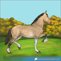 Horse Color:White Spotted Buckskin Dun Rabicano  and White Spotted Buckskin Dun Rabicano 
