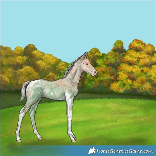 Horse Color:Silver Classic Champagne Ice Tobiano Rabicano 