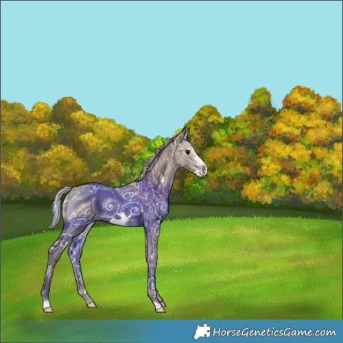 Horse Color:Silver Black Ice Frame Rabicano 