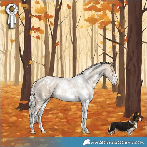 Horse Color:White Spotted Silver Buckskin Dun Sabino 