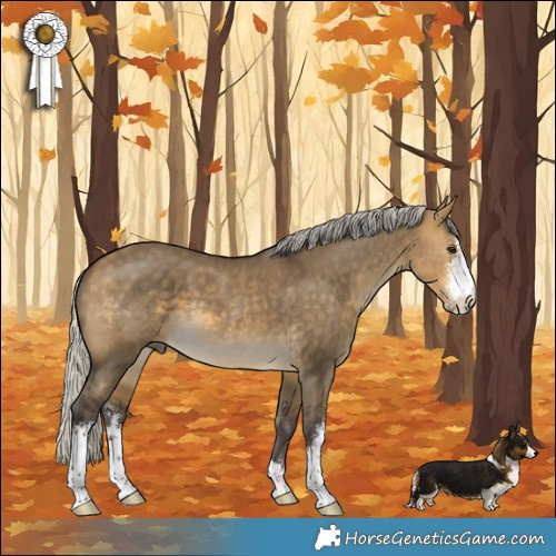 Horse Color:Silver Buckskin Dun Sabino 