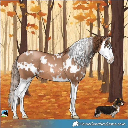 Horse Color:White Spotted Liver Chestnut Pearl Splash 