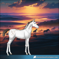 Horse Color:Classic Champagne Roan Splash Near Leopard