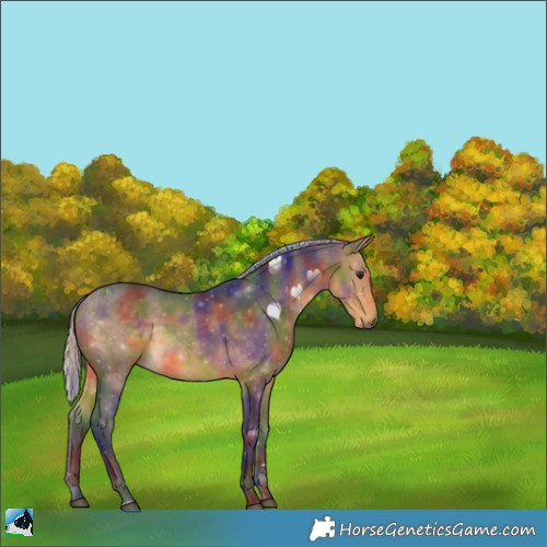 Horse Color:Nacre Silver Buckskin 