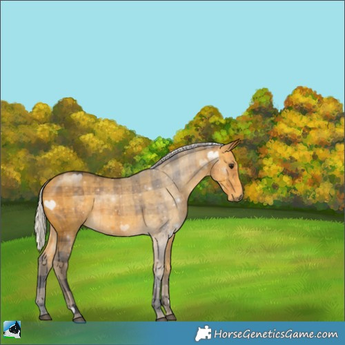Horse Color:Plaid  Silver Buckskin 