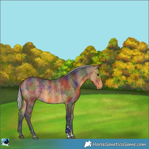 Horse Color:Nacre Silver Buckskin 