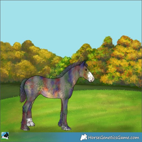 Horse Color:Nacre Buckskin Sabino 