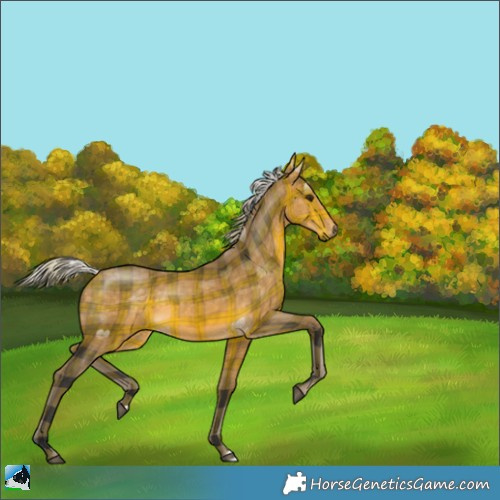 Horse Color:Plaid  Silver Buckskin 