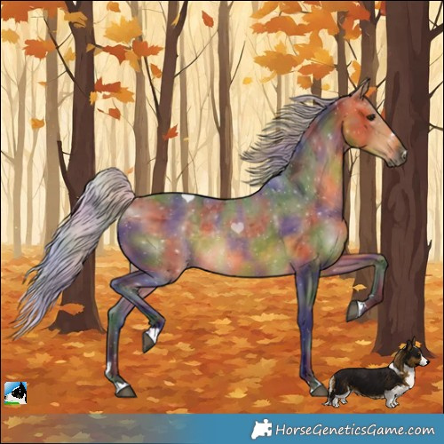Horse Color:Nacre Silver Buckskin Rabicano 