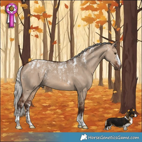 Horse Color:Powder White Silver Brown Dun 