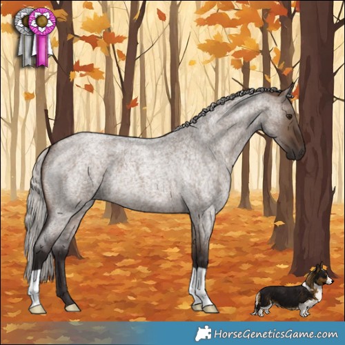 Horse Color:Silver Brown Roan Dun 