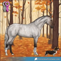 Horse Color:Silver Brown Roan Dun 