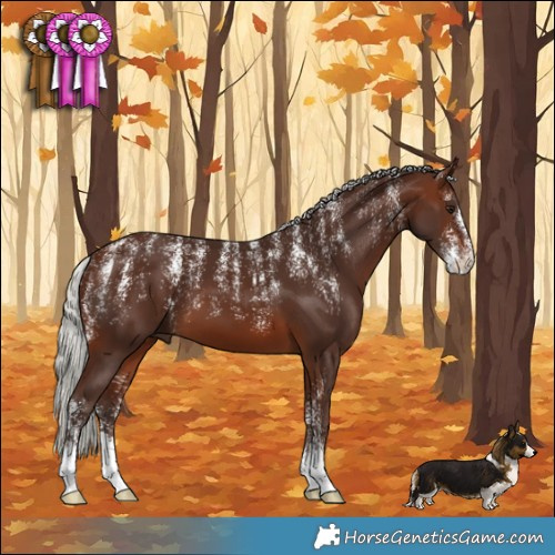Horse Color:Powder White Silver Brown 